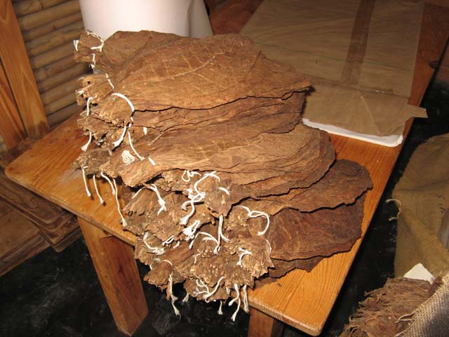 Palace_PC_2008_demenico (1)