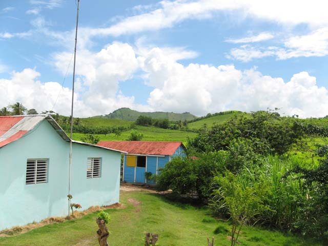 Palace_PC_2008_monstertruck (08)