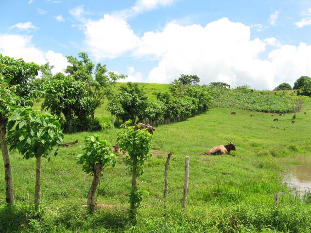 Palace_PC_2008_monstertruck (10)