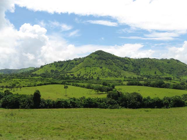 Palace_PC_2008_monstertruck (11)