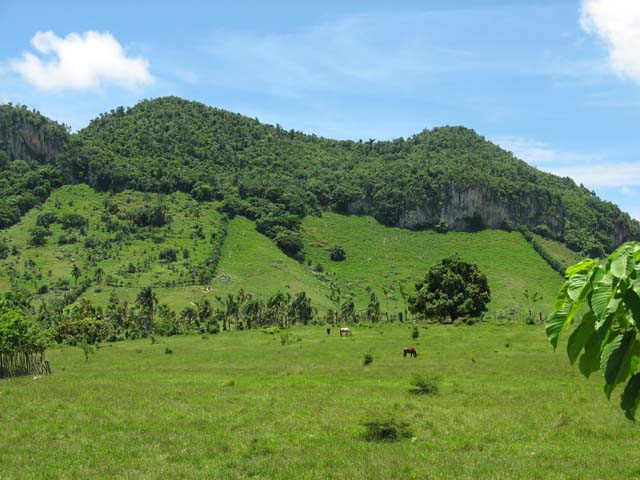 Palace_PC_2008_monstertruck (17)