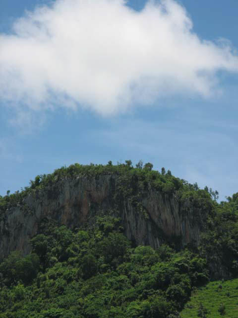 Palace_PC_2008_monstertruck (18)