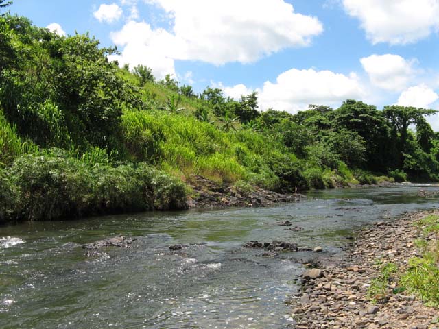 Palace_PC_2008_monstertruck (21)