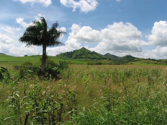 Palace_PC_2008_monstertruck (25)