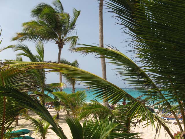 Palace_PC_2008_strand (05)