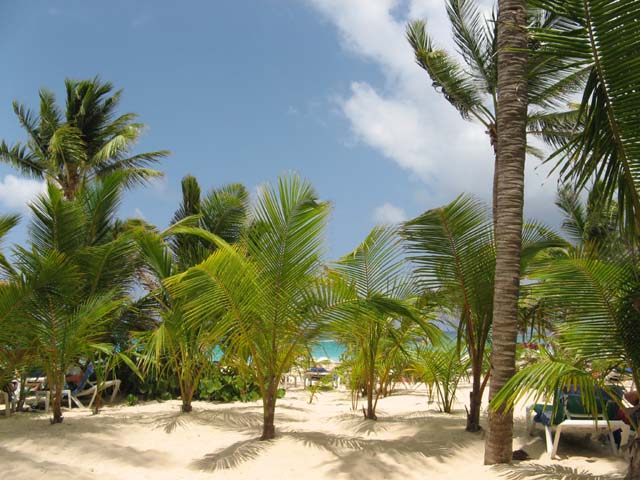 Palace_PC_2008_strand (06)