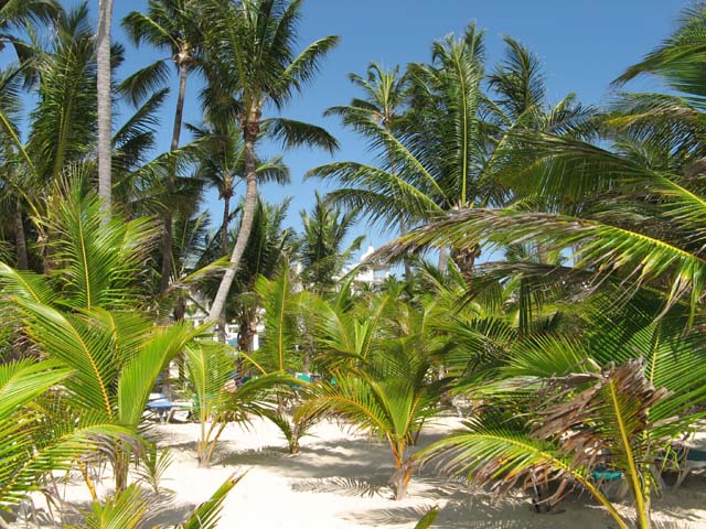 Palace_PC_2008_strand (07)