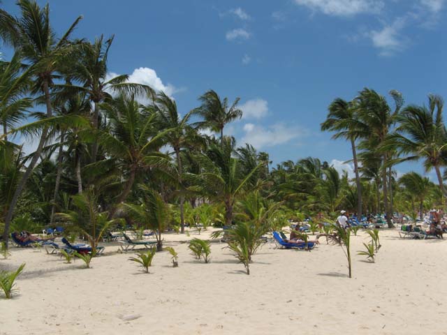 Palace_PC_2008_strand (08)